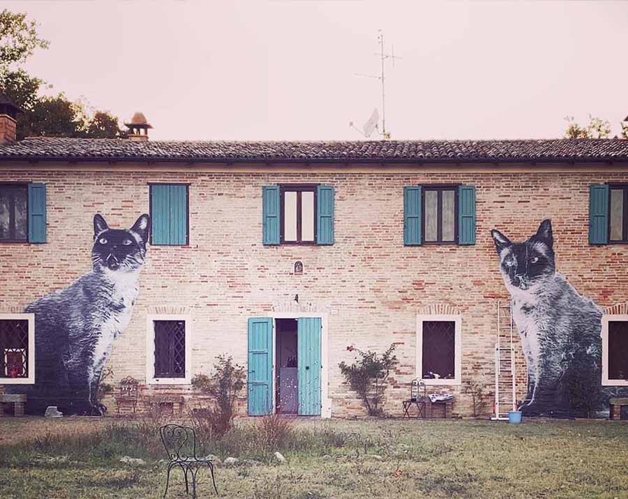 I gatti di Rovio