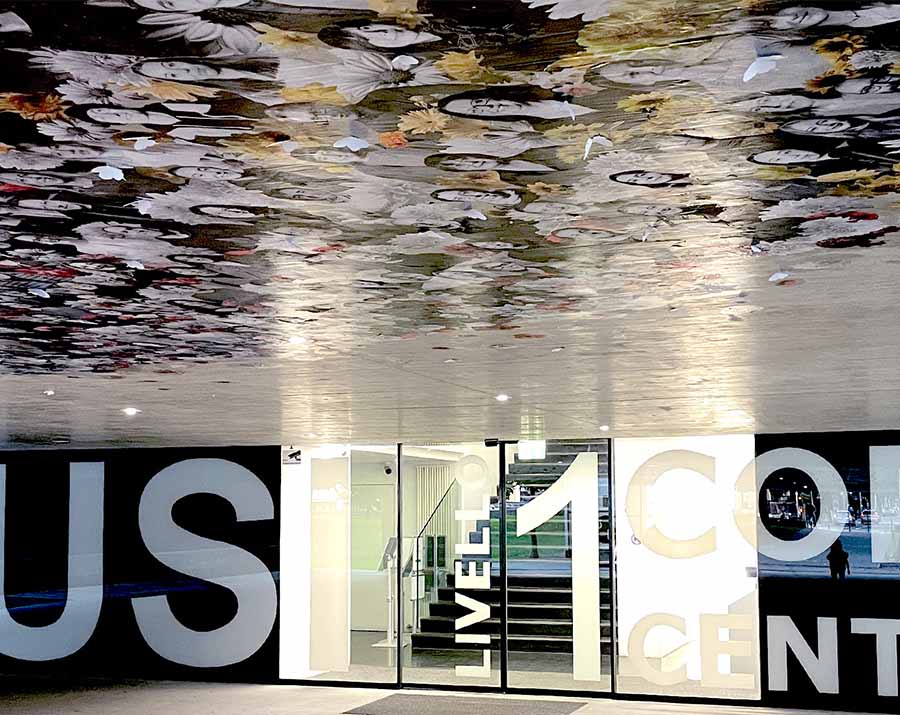 Universo USI